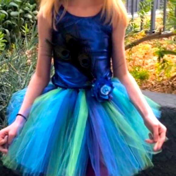 Beautiful Peacock Dress Costume - Picture 1 of 5